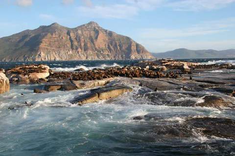 ケープタウンのドイカー島