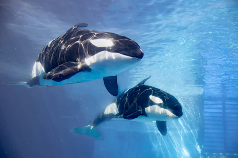 愛知の名古屋港水族館