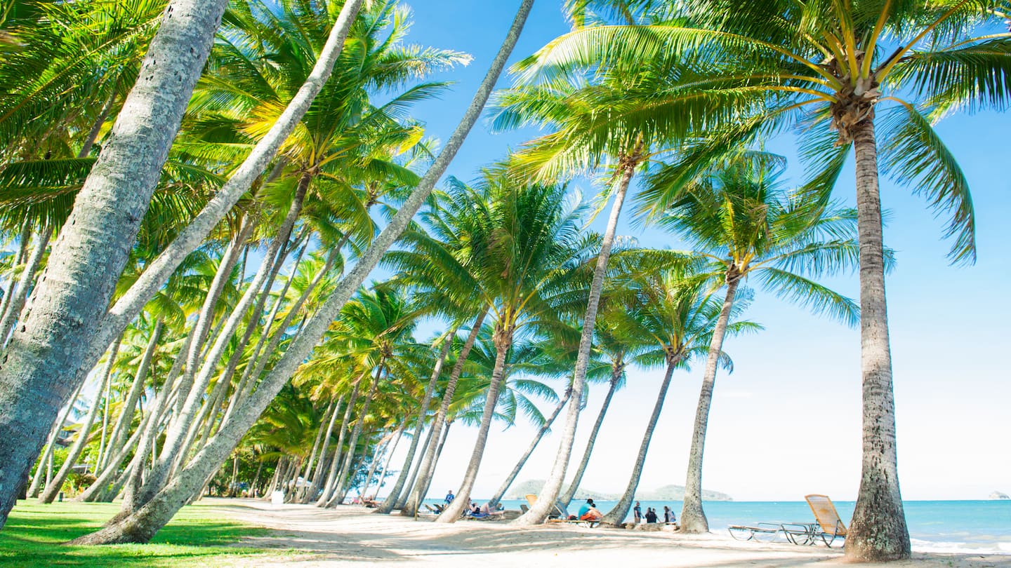 【2026年最新】ケアンズの8月の気温は？おすすめの服装や持ち物を解説