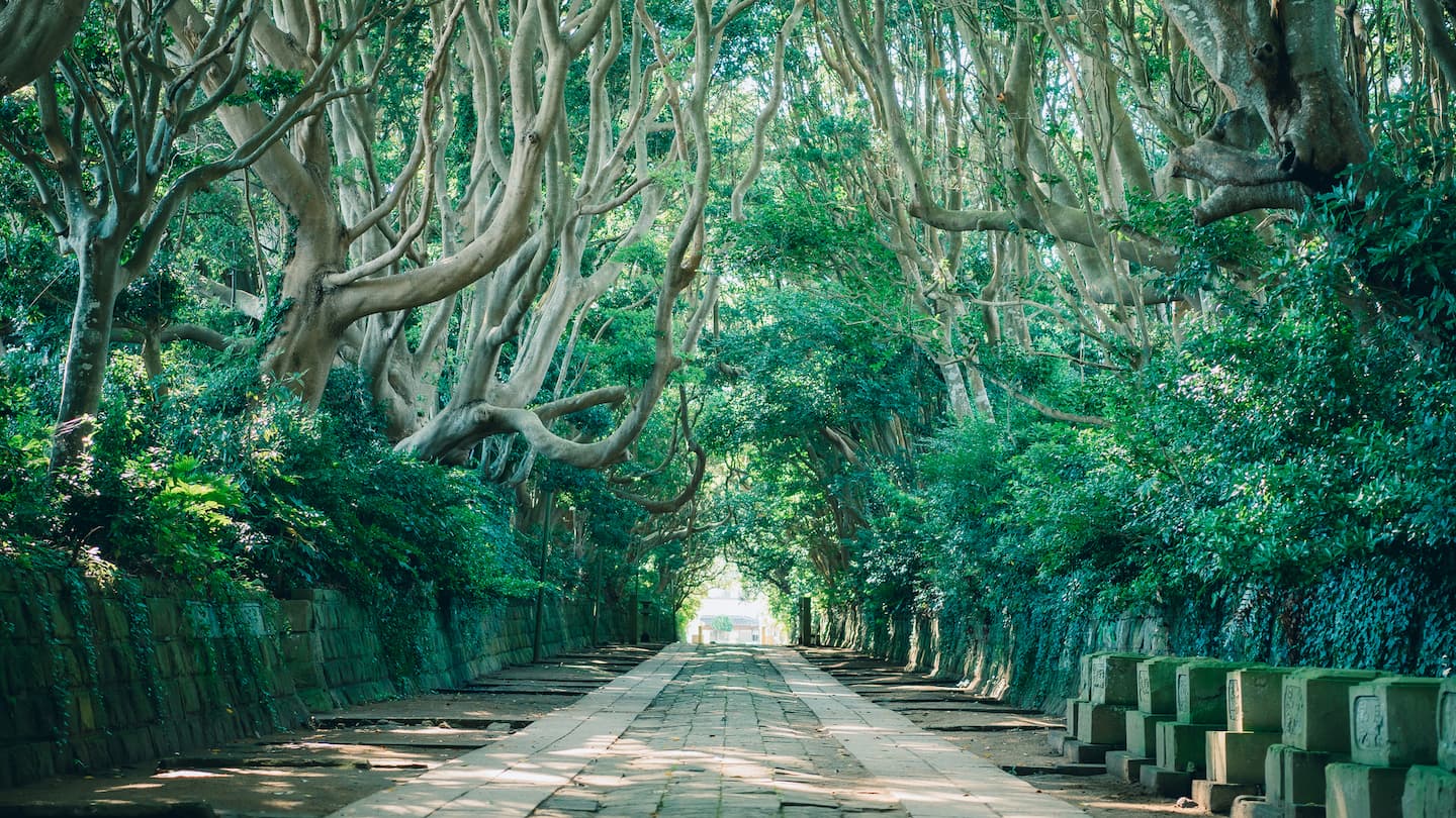 海辺の絶景とご利益に出会う！酒列磯前神社の見どころと楽しみ方