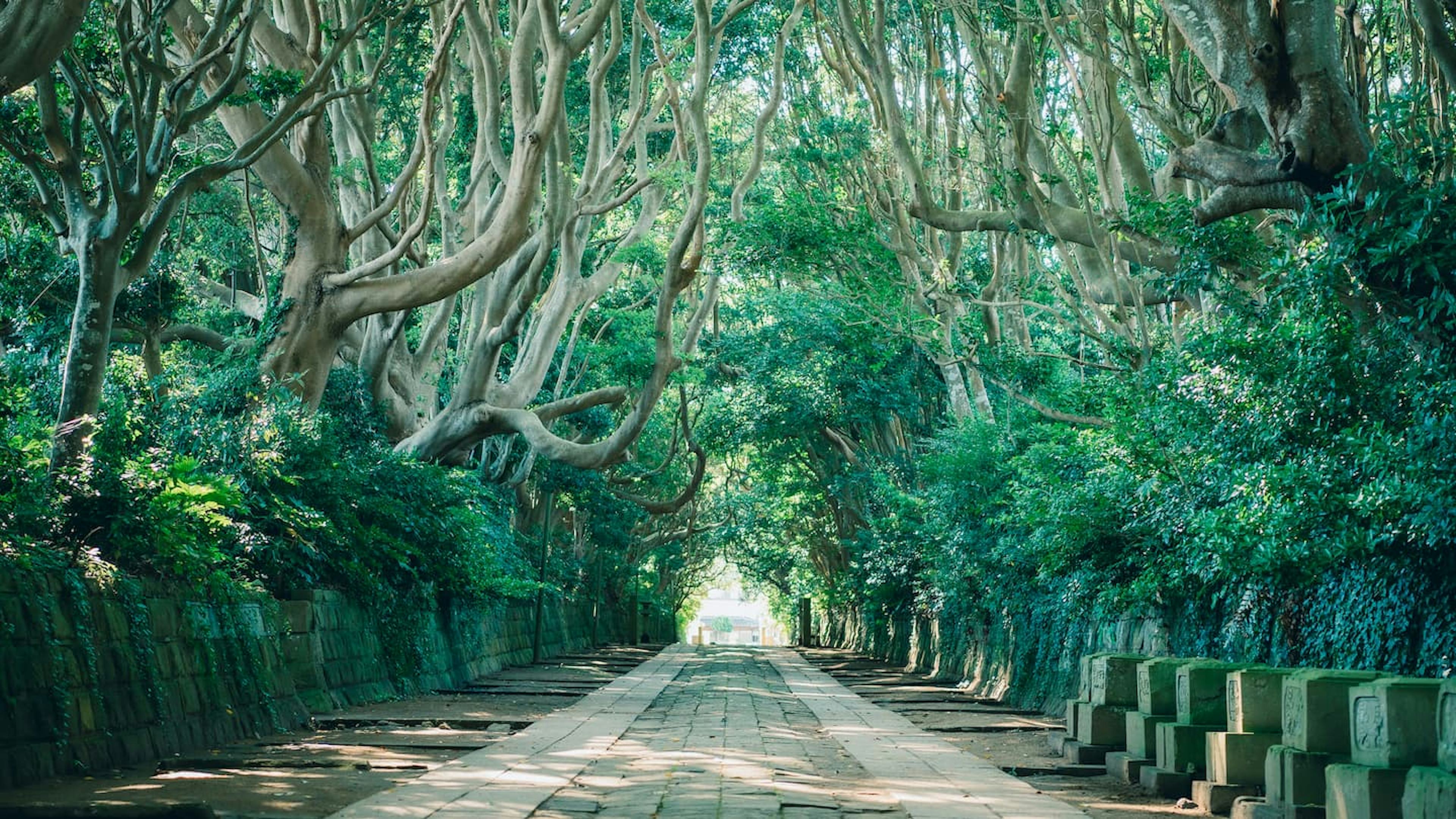 海辺の絶景とご利益に出会う！酒列磯前神社の見どころと楽しみ方
