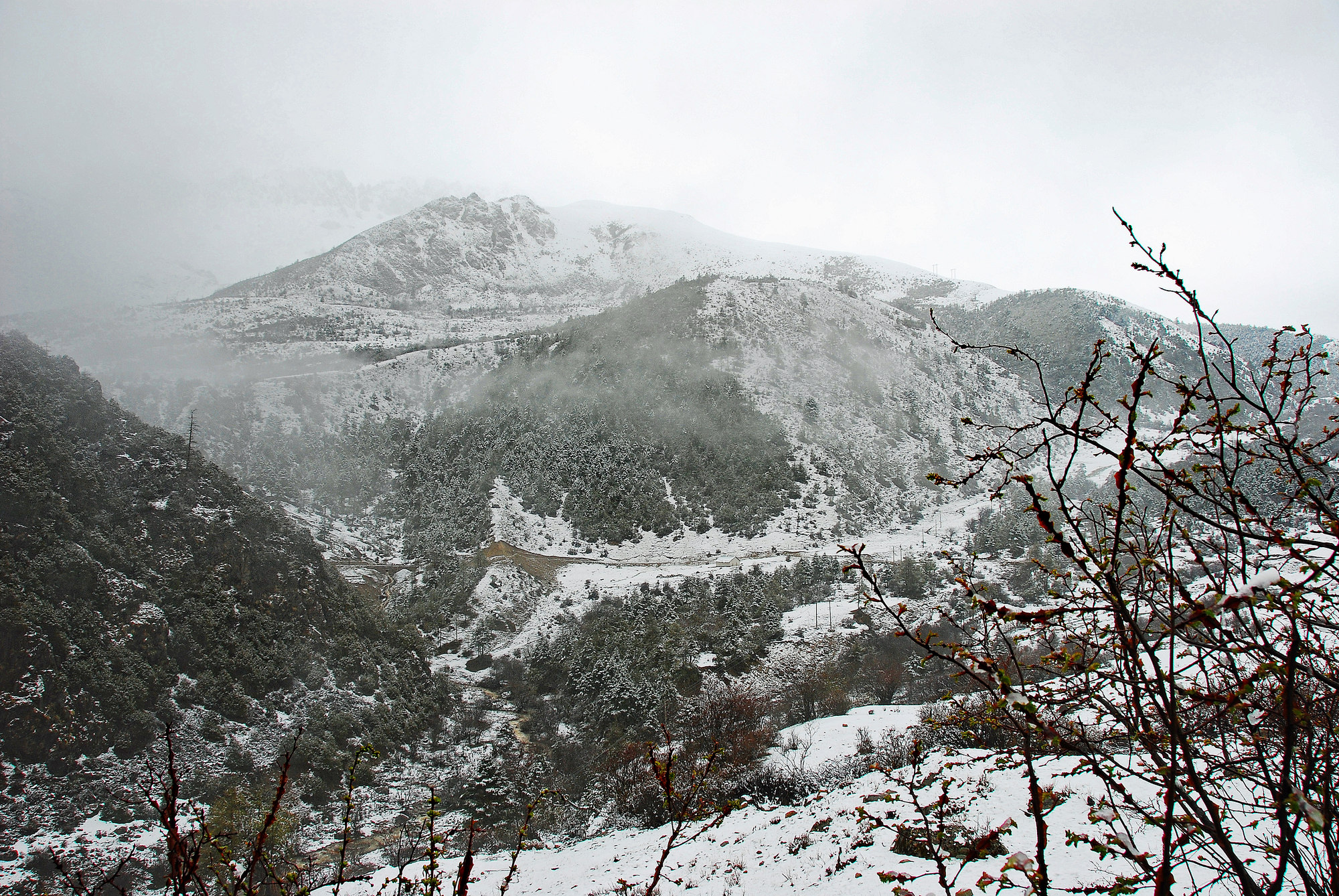  白馬雪山