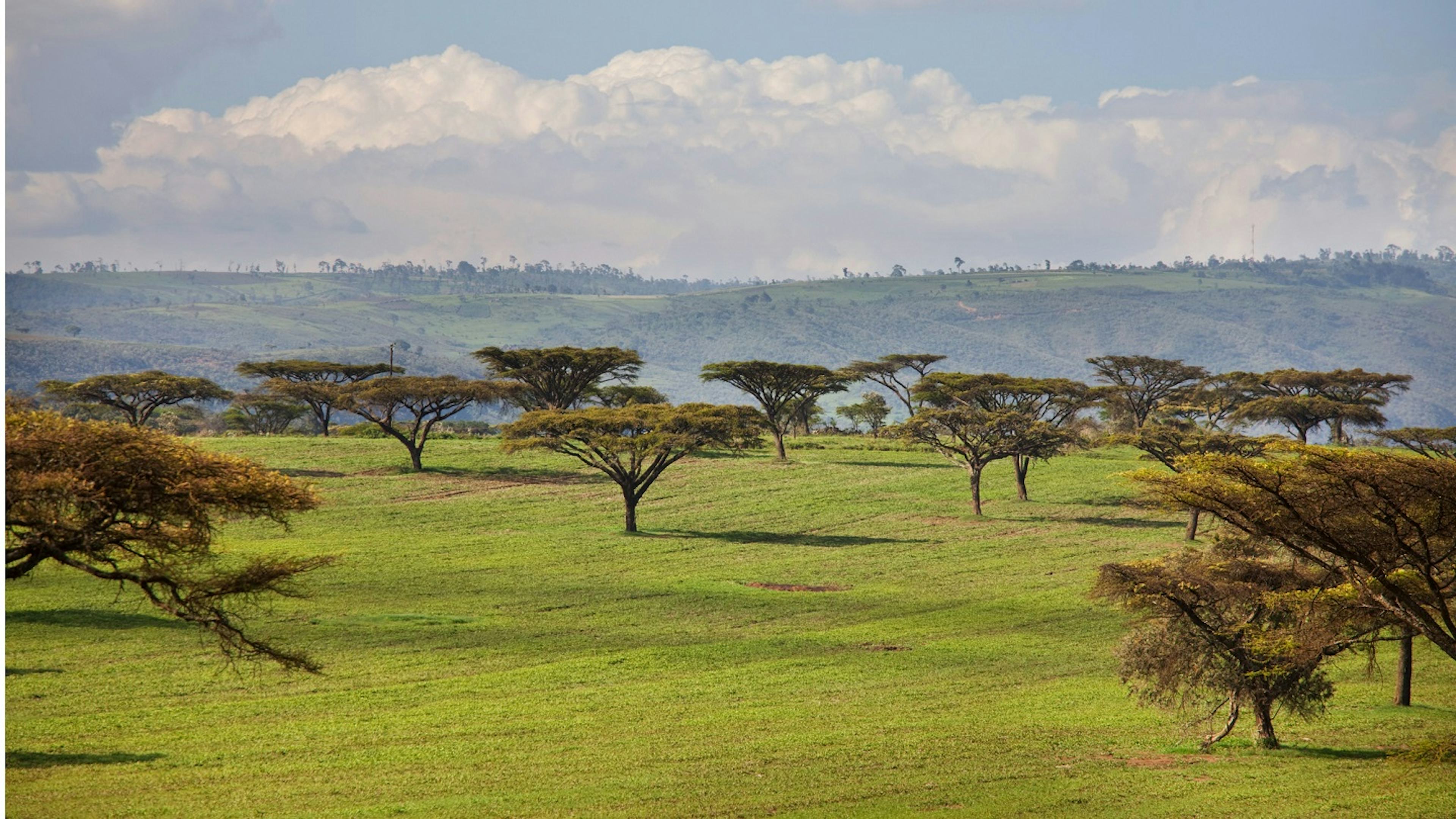 【2025年最新】スーダンの治安は？危険な場所や注意点を解説