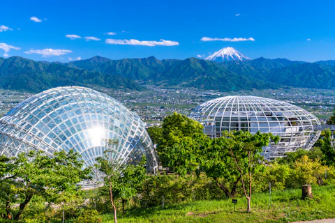 山梨の笛吹川フルーツ公園