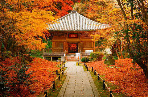 円通院
