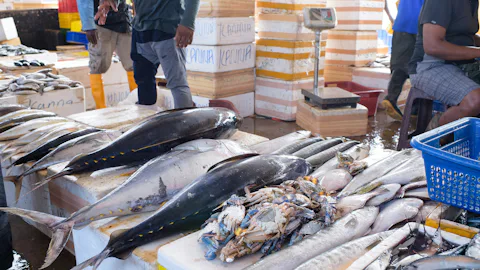 ネゴンボ・フィッシュ・マーケット