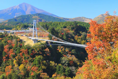 大分の九重夢大吊橋