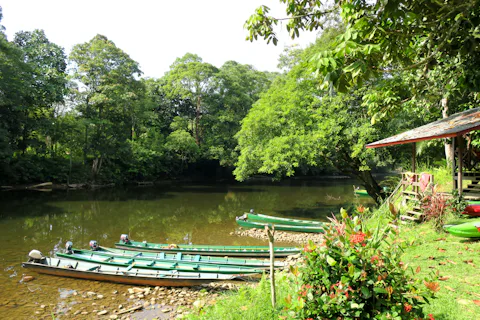 ウル・テンブロン国立公園
