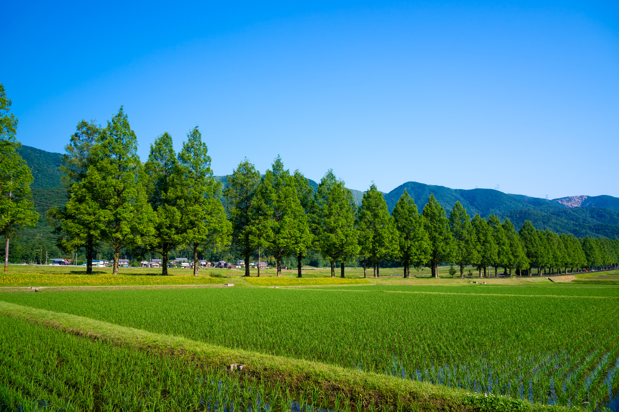 滋賀の湖西エリア
