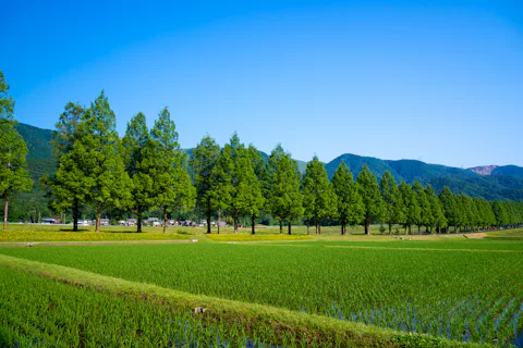 滋賀の湖西エリア