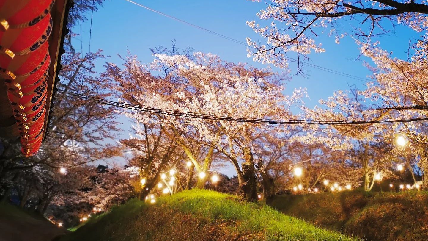 桜とパノラマビューを満喫!高野口公園 Supported by 紀北緑地建設の見どころや桜まつりを紹介