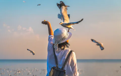 バンブー保養地