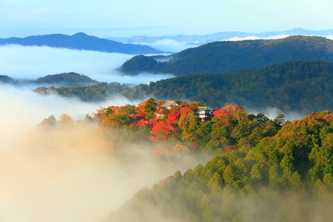 岡山の備中松山城