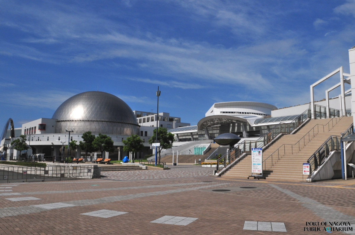 名古屋港水族館