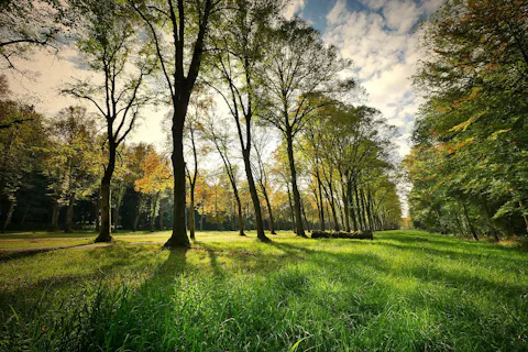 オーク・キャニオン・ネイチャー・センター