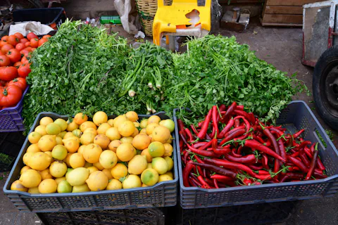 カサブランカの中央市場(Central Marketplace)