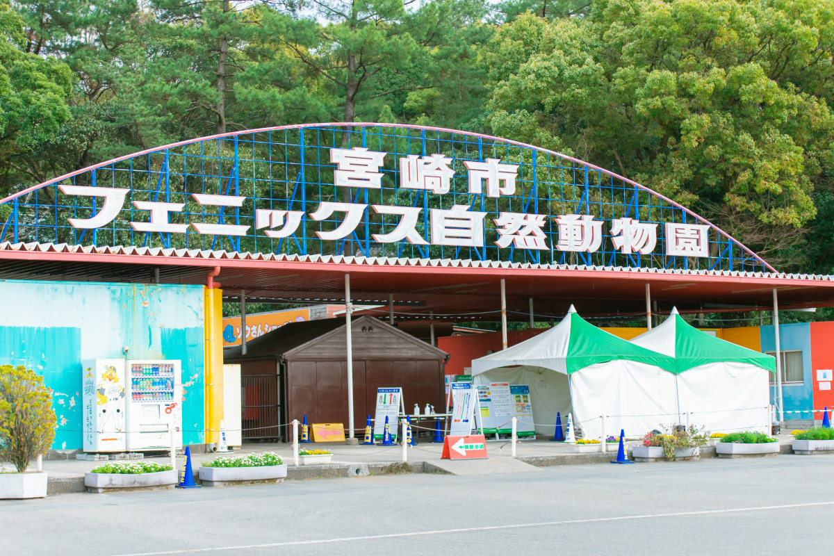 宮崎市フェニックス自然動物園