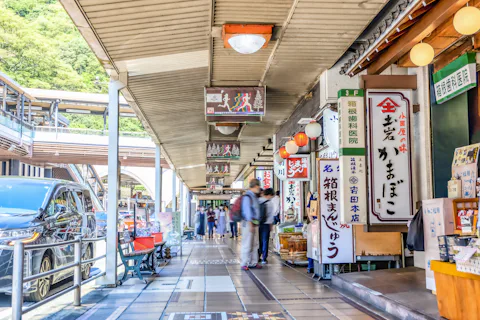 箱根湯本駅前商店街