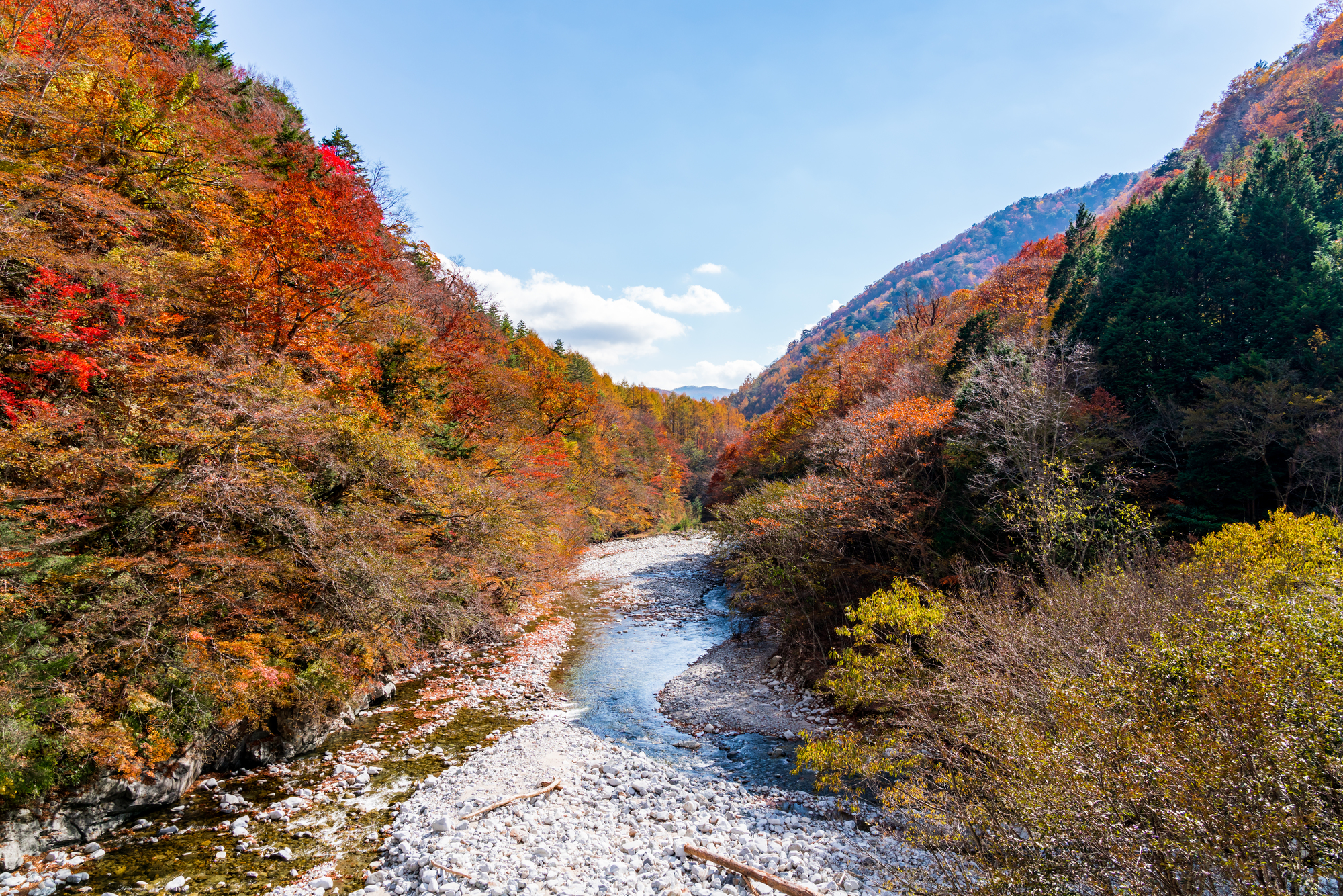 山梨の石和・西沢渓谷エリア