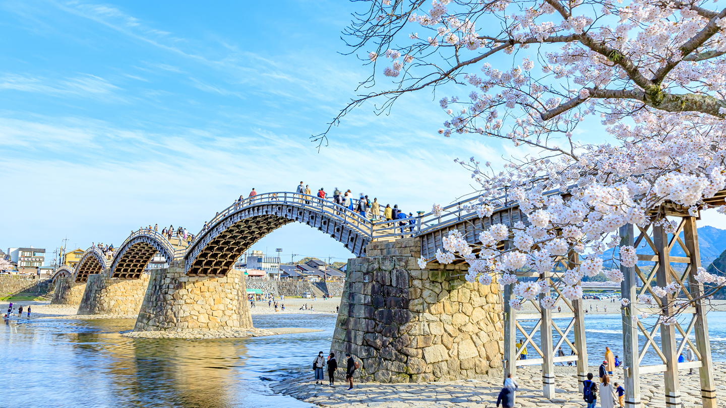 岩国・錦帯橋を河原から見上げる！5連アーチと四季の絶景