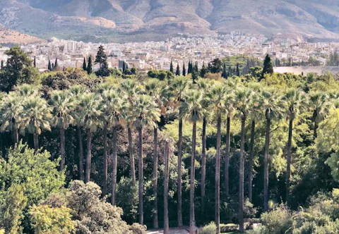 アテネ国立庭園