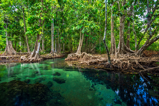 パー・プル・ターポム・クローンソンナム