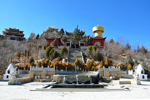 シャングリラの大亀山公園