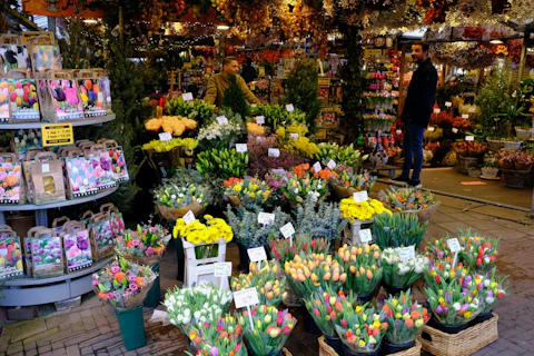 アムステルダムのシンゲルの花市場