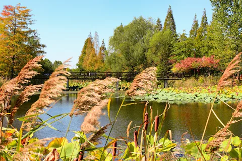 首都圏埋立地管理公社(ドリームパーク)