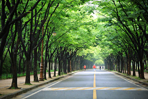 韓国の仁川大公園