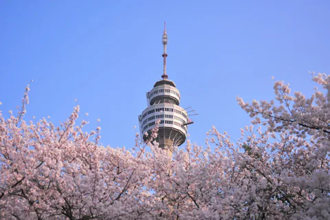 大邱タワー