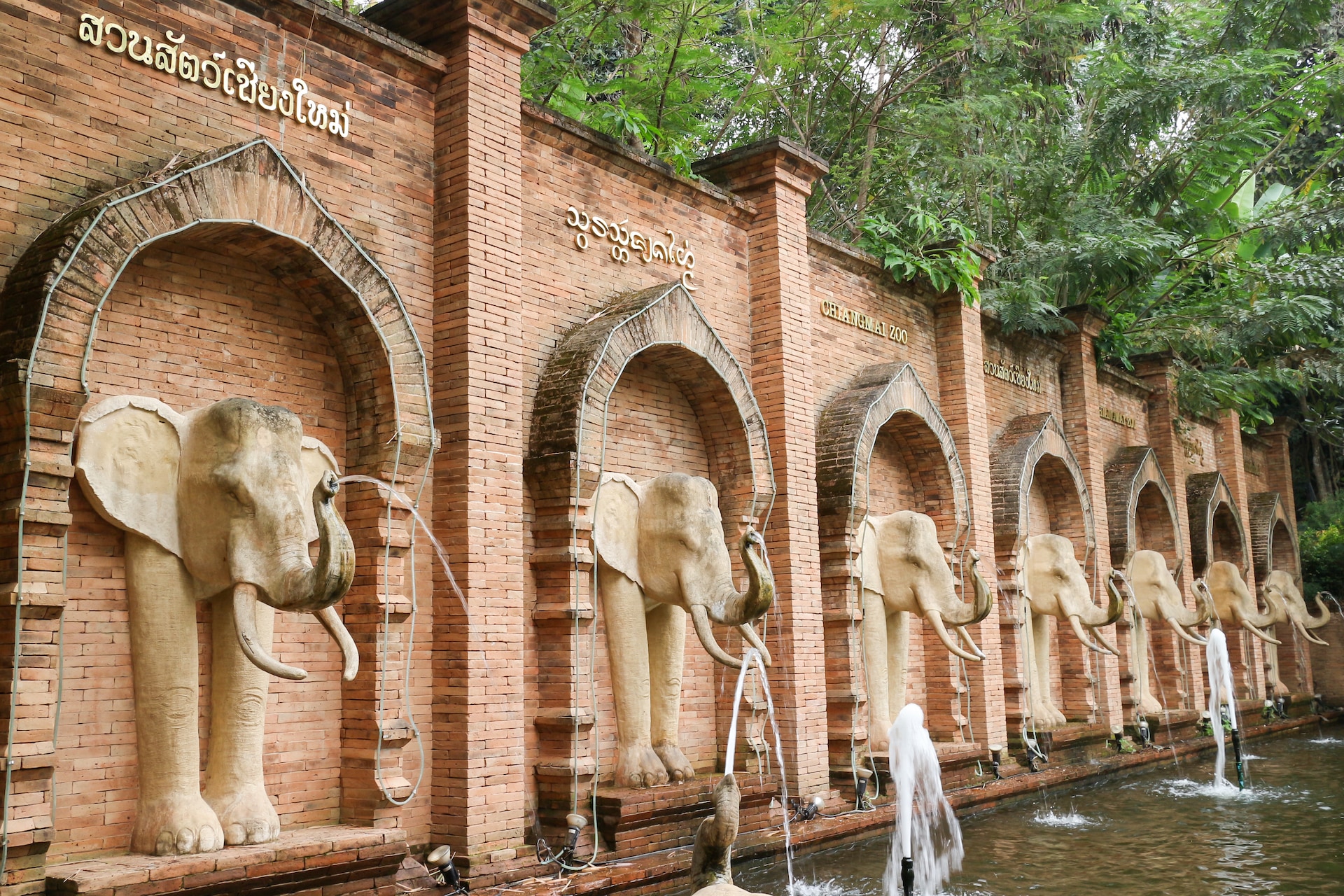 チェンマイ動物園