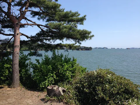 松島湾