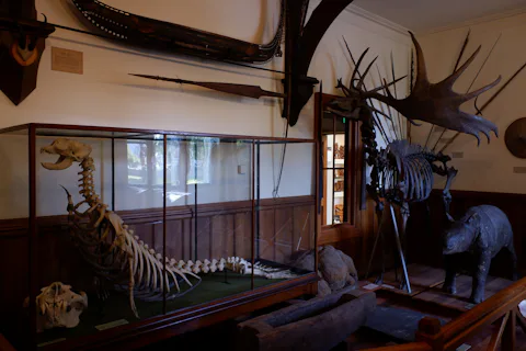 ニュージーランドのカンタベリー博物館