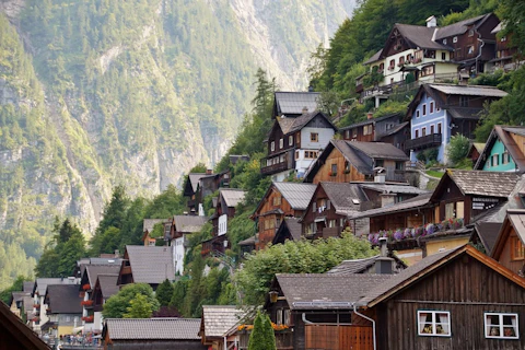 Hallstatt ハルシュタット　引き取りのみ Amazon | Hallstatt エレクトリックベース | ベースセット