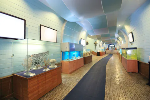 ニャチャンの国立海洋学博物館