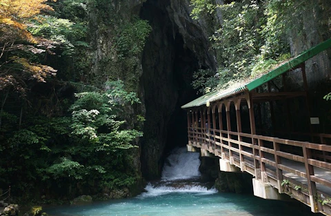 山口の秋芳洞