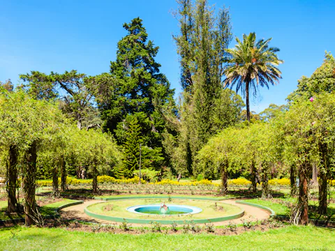 ヌワラエリヤのビクトリアパーク(Victoria Park)