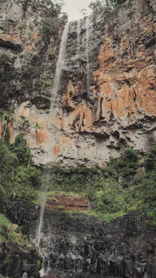 オーストラリアのスプリングブルック国立公園