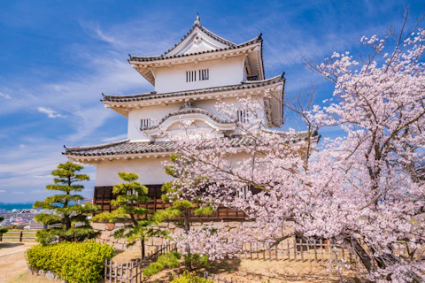 香川の丸亀城