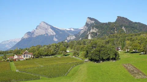 マイエンフェルト