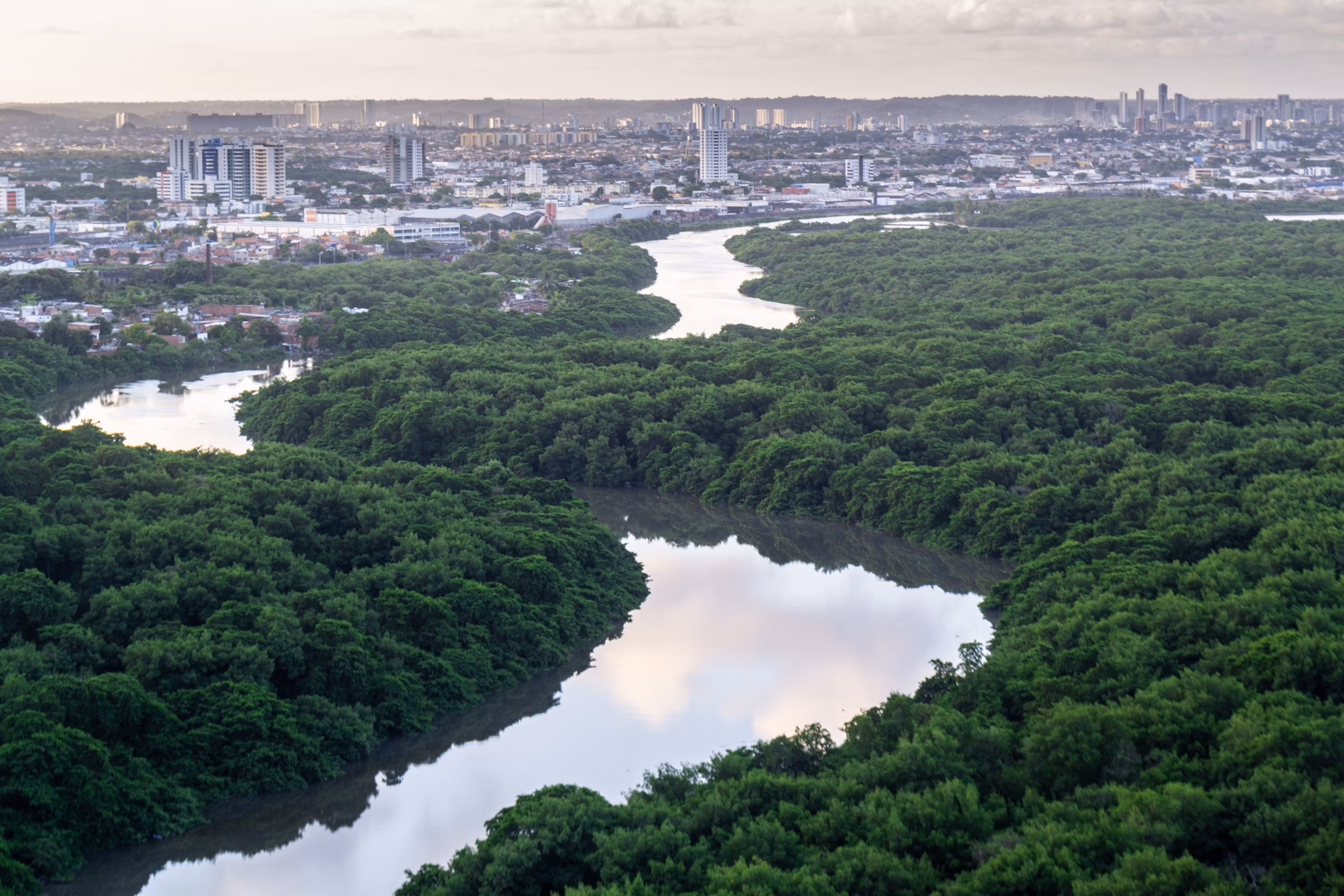 ブラジルのレシフェ