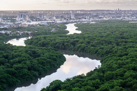 ブラジルのレシフェ