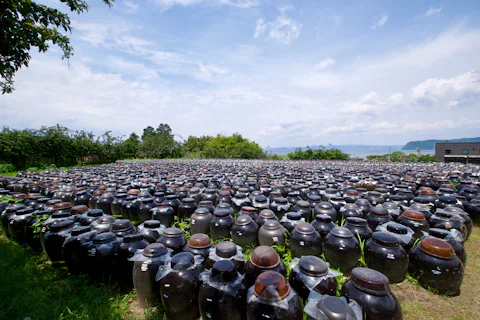 坂元のくろず 壺畑 情報館