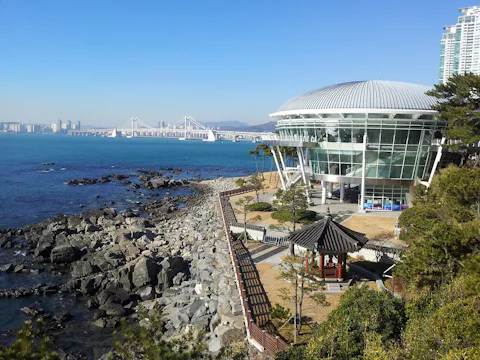 冬栢島