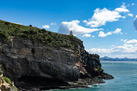 オタゴ半島
