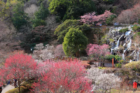 熱海梅園