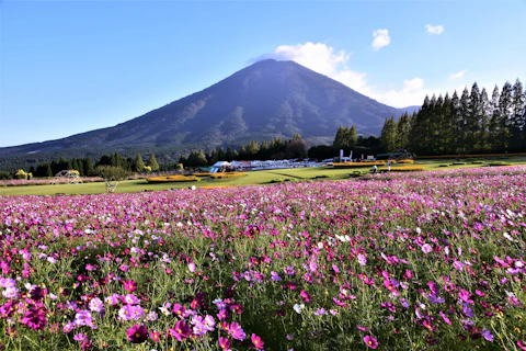 宮崎の生駒高原