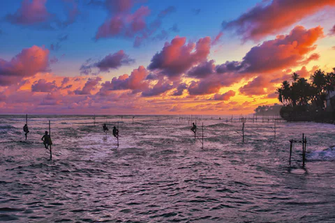 ゴールの高床式漁(スティルト・フィッシング)