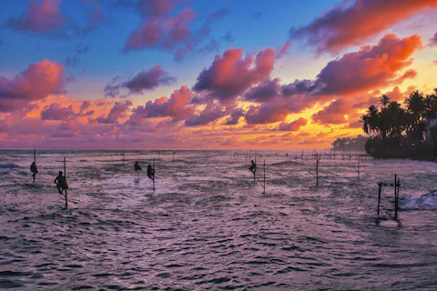 高床式漁(スティルト・フィッシング)